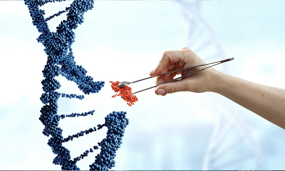 Genetic & Epigenetic Testing